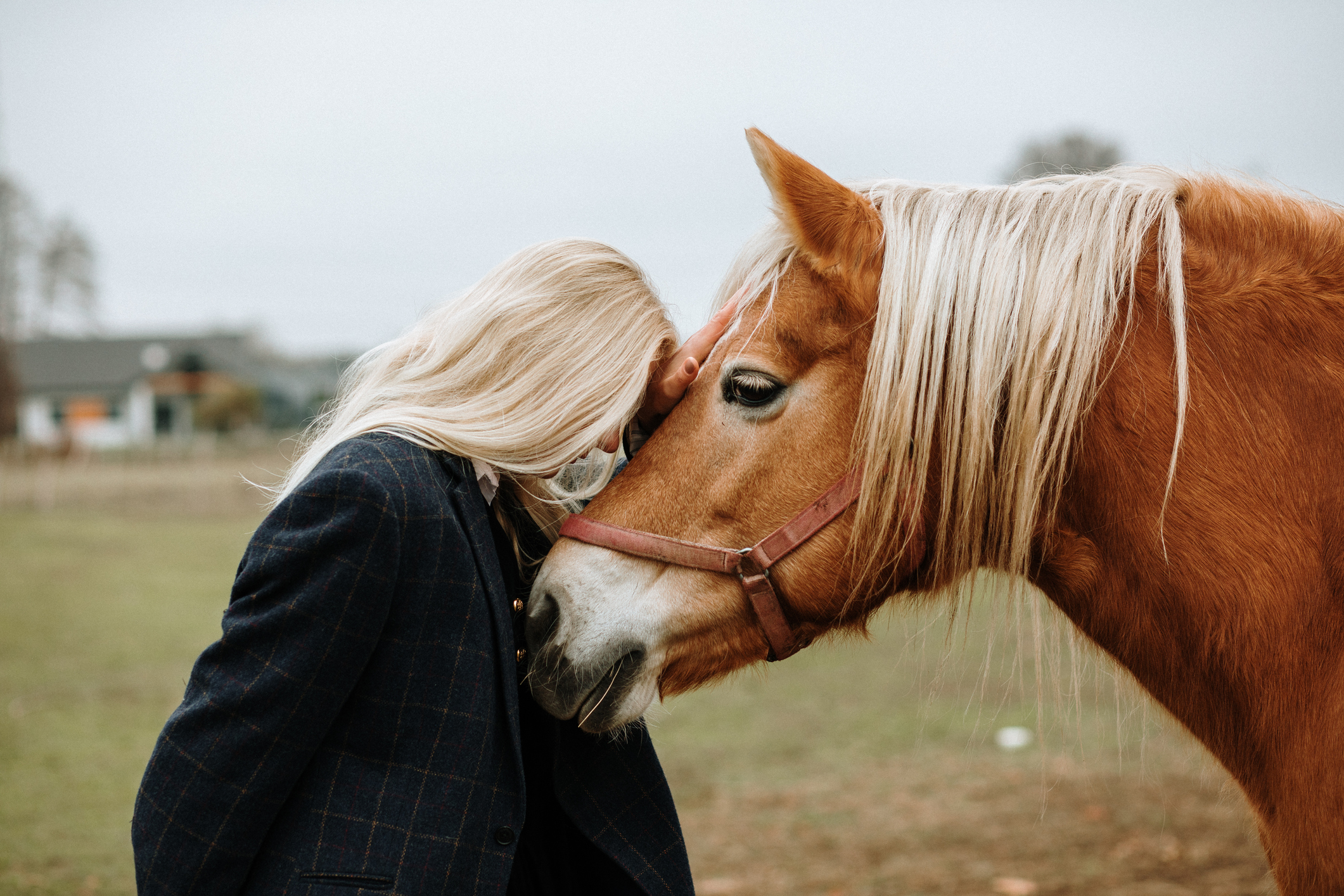 Woman comforting a horse. Peaceful rural scene. Themes of gentleness, connection, animal welfare.