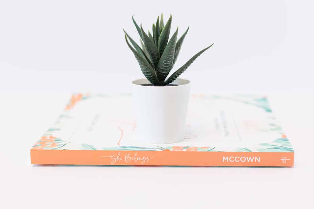 Review our top bible studies for women and find one to empower your faith.