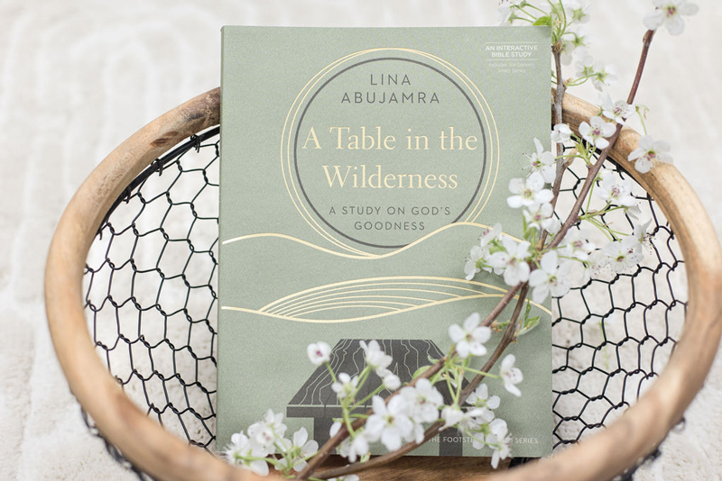 Table in the Wilderness book